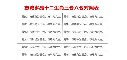 生肖婚配三合好还是六合好