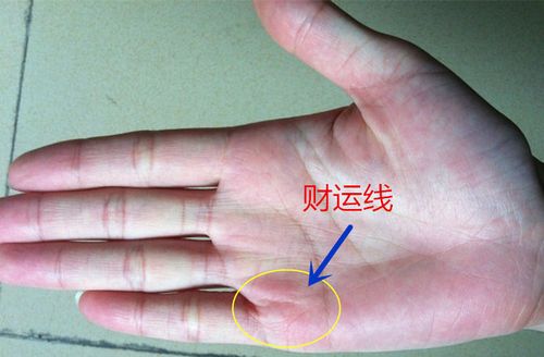 手中有这4大特征财运亨通