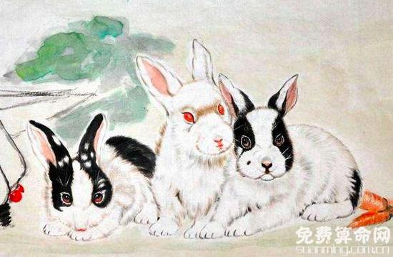 属兔的和什么属相最好