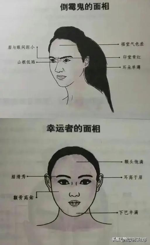 面相观房中性事