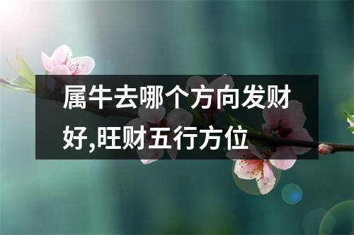 属牛人去什么方向发财