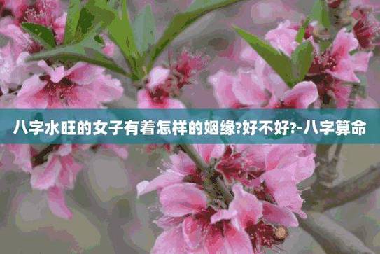 啥八字的女人烂桃花最多