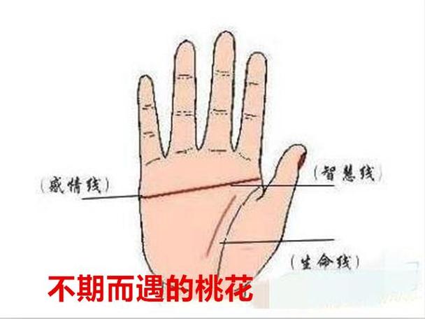 此生注定是暴发户的手相图解大全