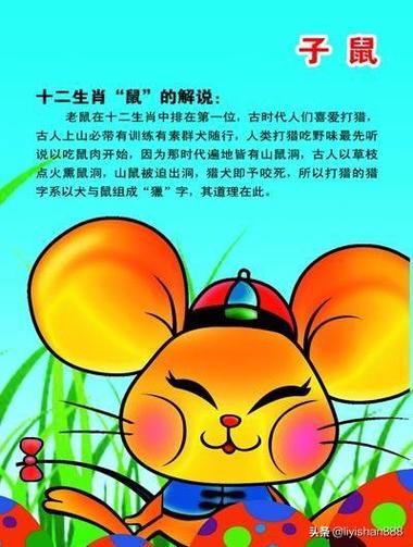 属鼠性格优点和缺点