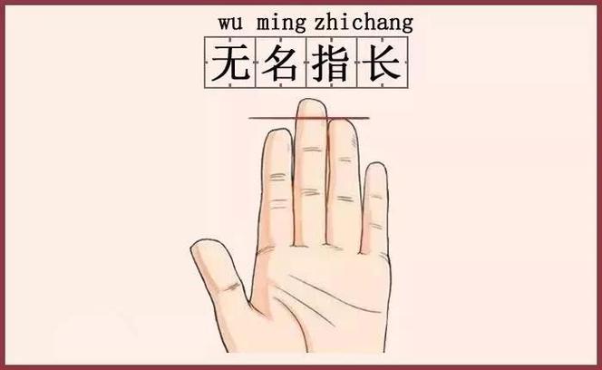 无名指和食指等长会是同性恋吗?
