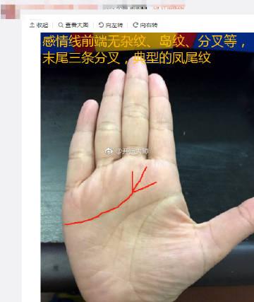 感情线分三叉凤尾纹