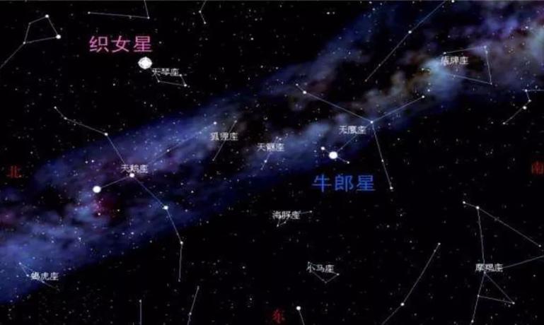 织女星位于哪个星座