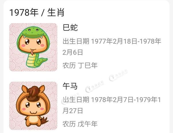 七八属什么生肖,七八年属于什么生肖