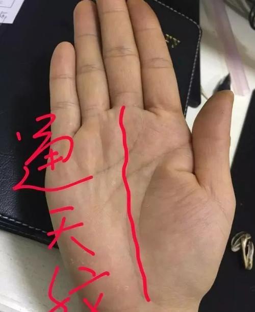 左手有通天纹的女人罕见