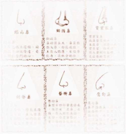 面相学怎样看鼻子