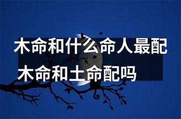 木命人和哪一种命人最配?