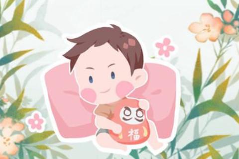 酉时诞生的男孩命途