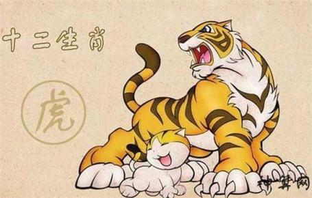 属虎的今年的财运好不好