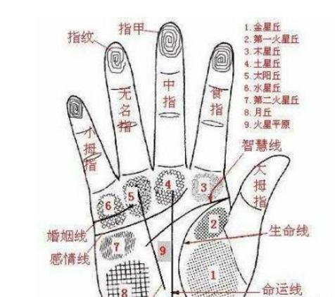 手指纹斗怎么看一个人的命运情况