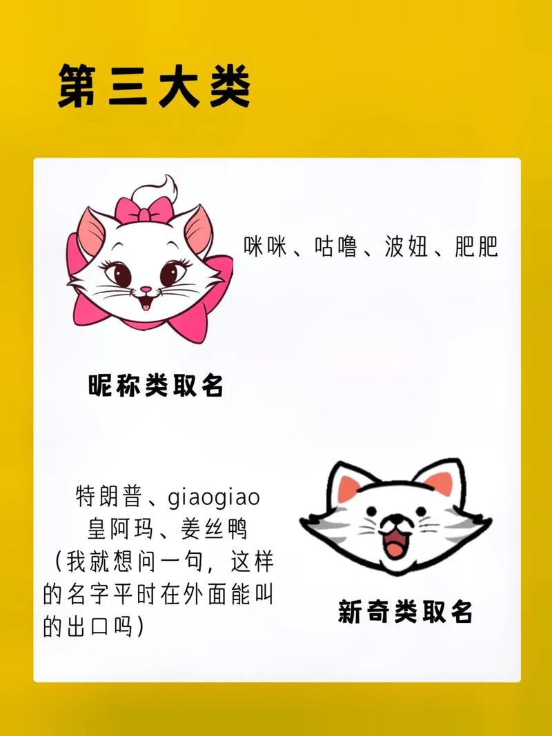 好听的小猫咪名字