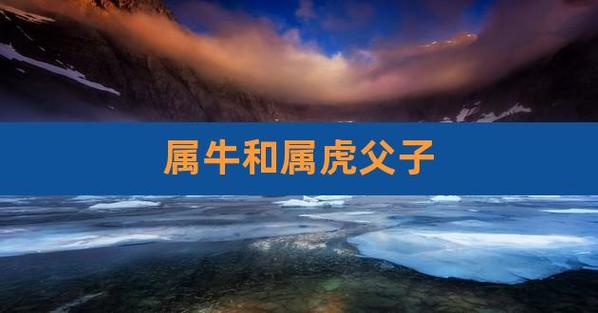 2022年虎年生双胞胎好吗,属虎双胞胎亲子关系好不好