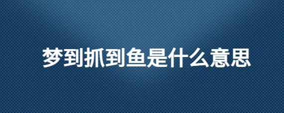 做梦梦到抓鱼是什么意思呢????????