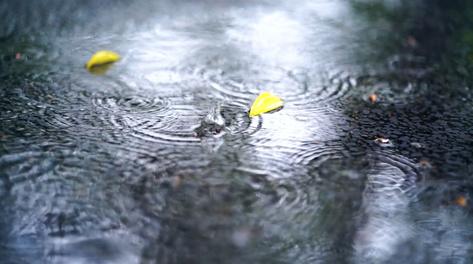 梦见下雨雨水流家里