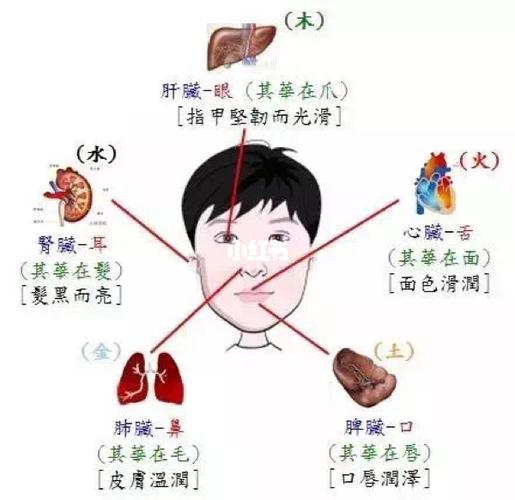 面相图解:耳朵发黑意味着肾虚吗
