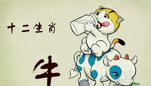 属牛几月出生最不好命?属牛几月出生最好命?