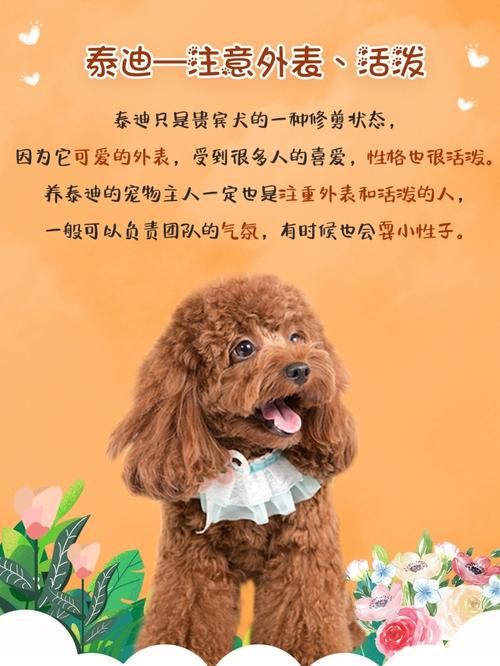 属狗男能接受女友年龄比自己大多少