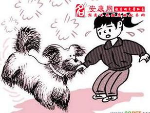 周公解梦梦见被狗咬