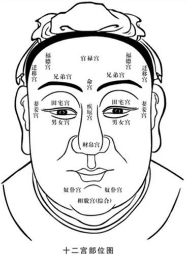 有实力有谋略易成大事的人面相