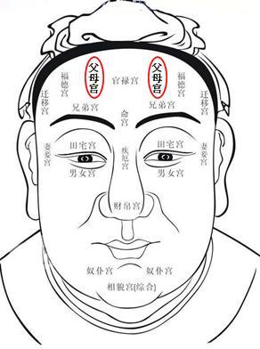 紫微星在父母宫