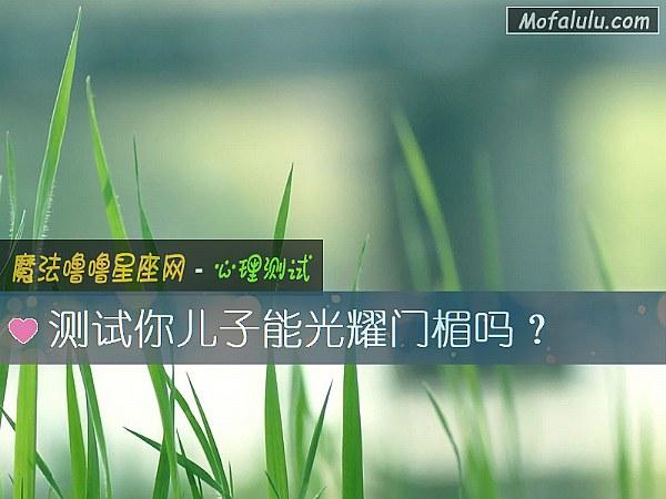 测试你儿子能光耀门楣吗