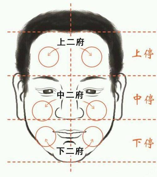 面相的三停六府