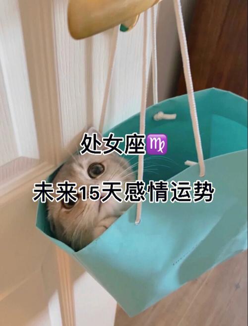 处女座如何消除心中负能量