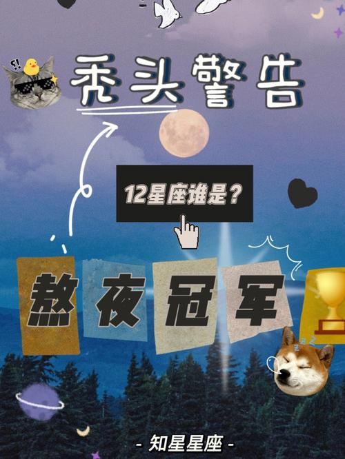十二星座90后熬夜图鉴