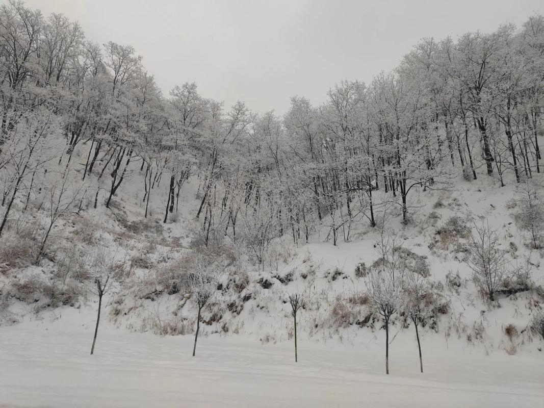 孕妇梦见山峰
