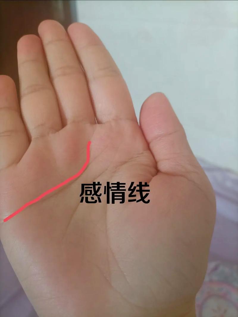 事业线到手掌中心就没有了