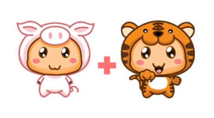 妈妈属虎爸爸属虎生猪宝宝相合吗