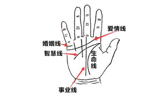 双智慧线手相是什么意思
