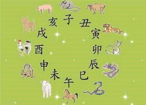 这些生肖才不管对不对