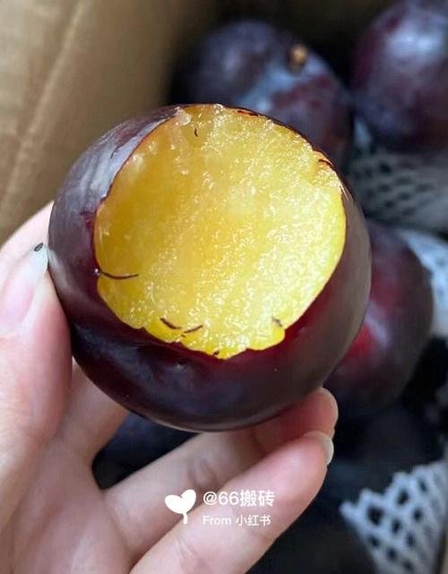 吃很大的黑布李