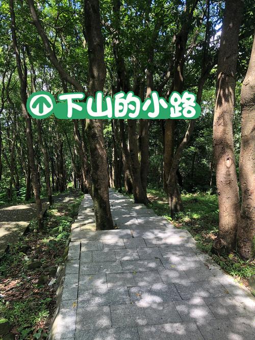 梦见爬山烧香代表什么好不好?
