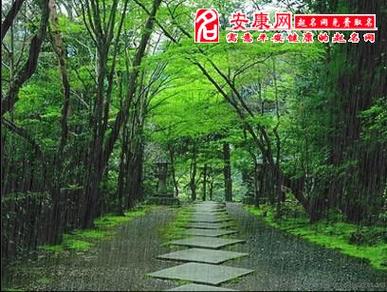 女人梦见路上全是雨水什么意思