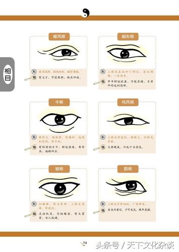 相面图解 麻衣神相十二宫面相全解