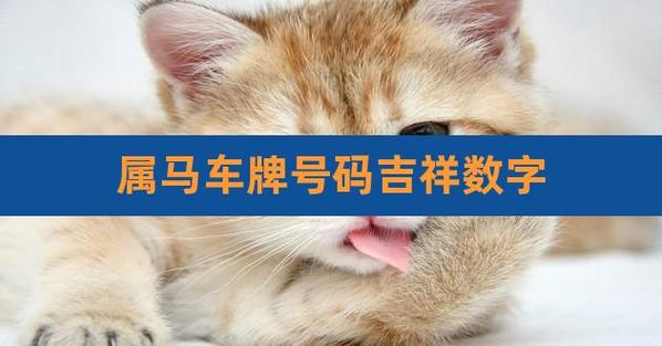 90年属马吉祥车牌号