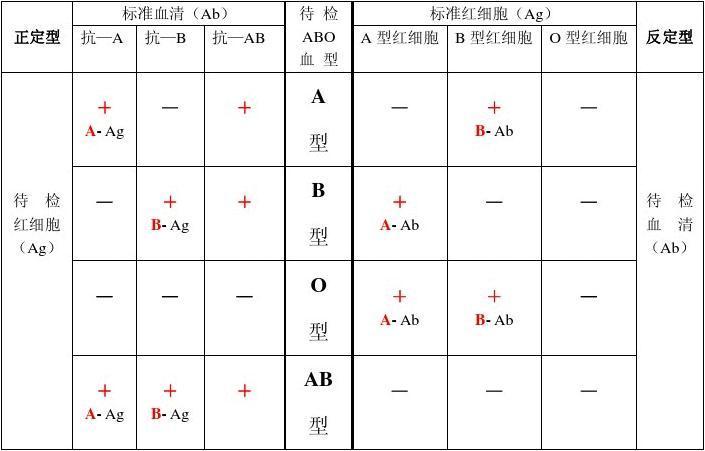 abo血型的判定依据是什么