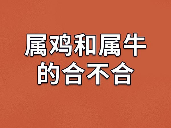 属牛男会怎样调教另一半
