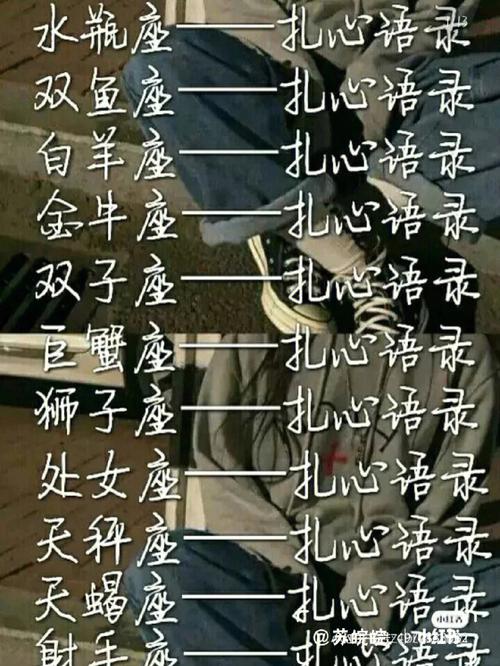 盘点12星座经常伪装的特质