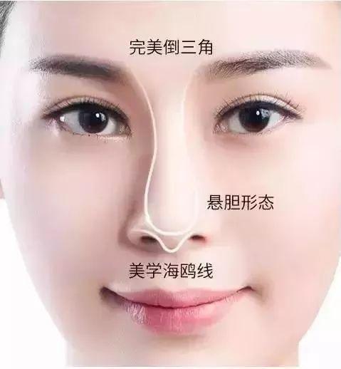 什么是小俏鼻?小俏鼻面相详解