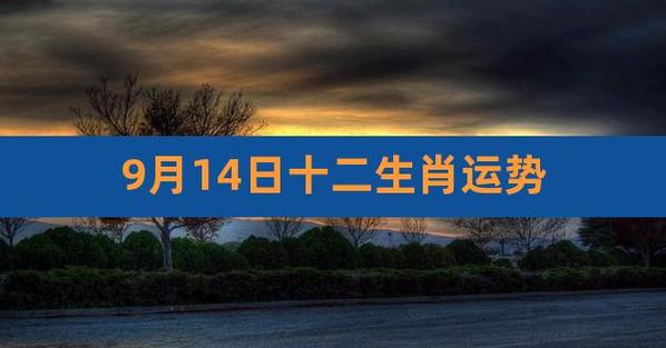 属猴男人2022年1月事业运程预测