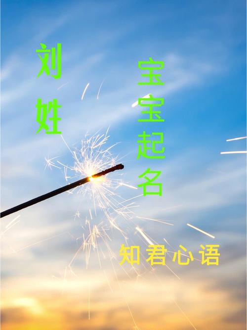 爸爸姓乔妈妈姓刘双胞胎取个啥名好