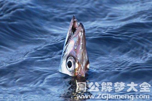 梦到洪水挣扎的鱼
