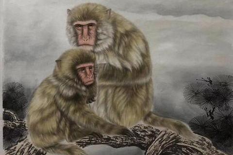 虎冲猴中对于哪个属相最吉利